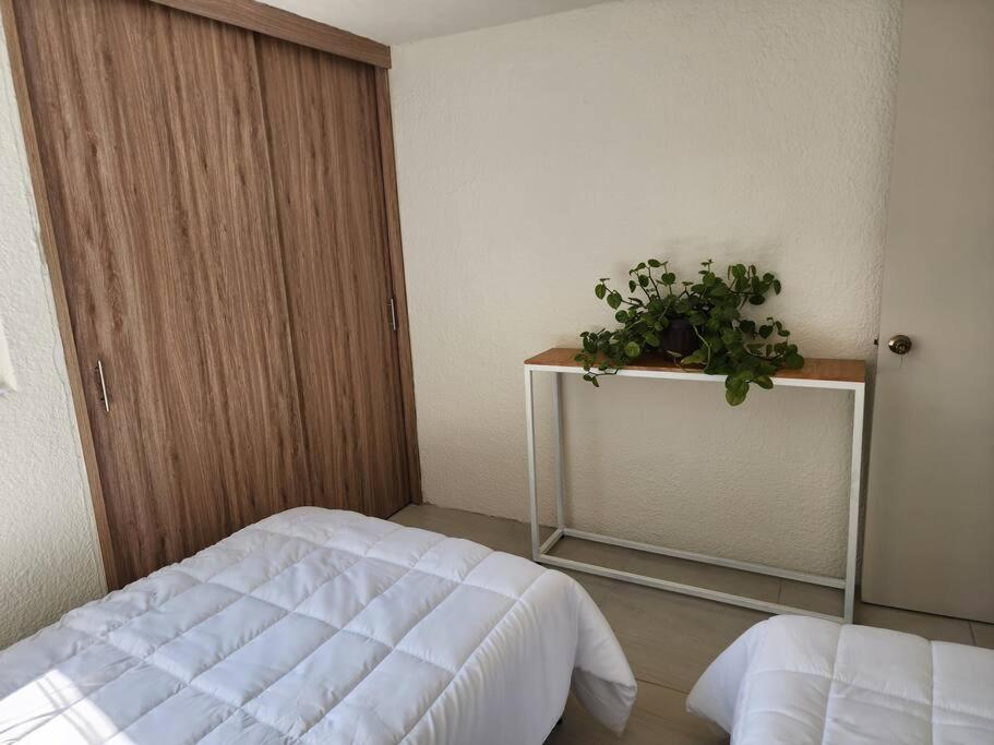 Practico Y Comodo Caminando A La Expo Guadalajara Ngoại thất bức ảnh